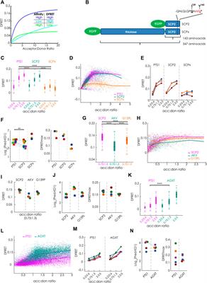 Studying the interaction between PEX5 and its full-length cargo proteins in living cells by a novel Försteŕs resonance energy transfer-based competition assay